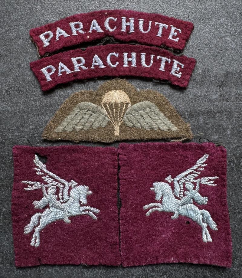 WW2 Parachute Insignia Group All Removed From Same Uniform