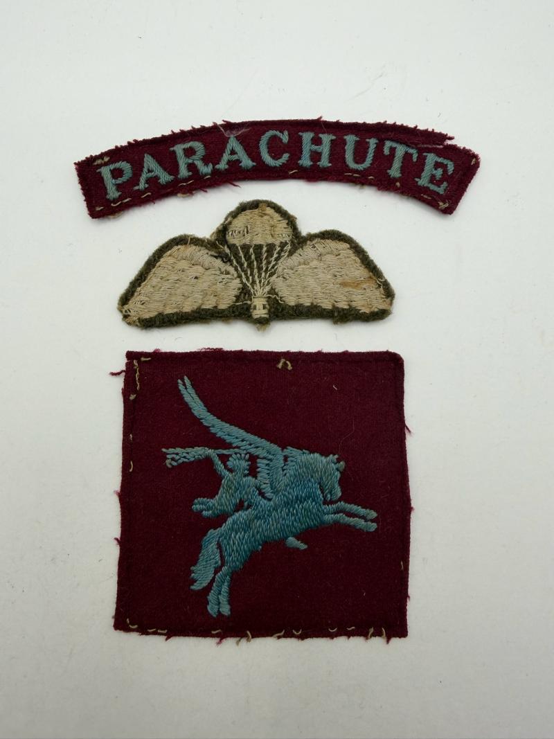 WW2 Parachute / Wings / Airborne Division Combination